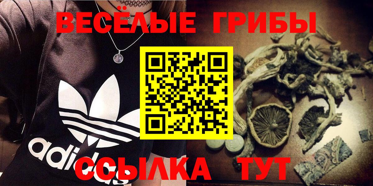 Псилоцибиновые грибы прущие грибы Протвино